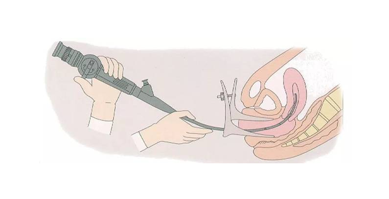 ��ԭ������W,������W�ί�,������W�A��