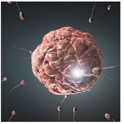 ��ԭ���Еr�g,���Йz��,�����ί�,